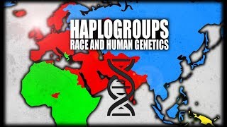 What are Haplogroups Human Genetics Explained [upl. by Morgana]