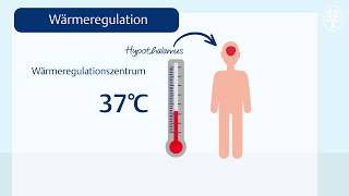 Die Körpertemperatur Wärmeregulation [upl. by Grogan759]