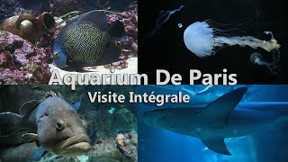 Aquarium de Paris Visite Intégral  La Nature Est Si Merveilleuse Et Insolite 1080p60 Ultra [upl. by January]