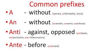 Medical terms  common prefixes [upl. by Einegue]