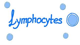 Lymphocytes  Your Specialized Immunity  White Blood Cells [upl. by Attlee]