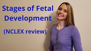 THE STAGES OF FETAL DEVELOPMENT  NCLEX REVIEW [upl. by Macario]