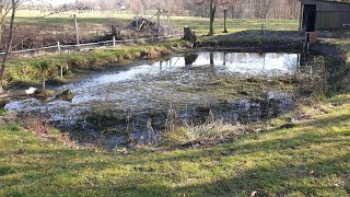 Forellen und Karpfenteich Ausbaggern Teil 1 [upl. by Ernaline]