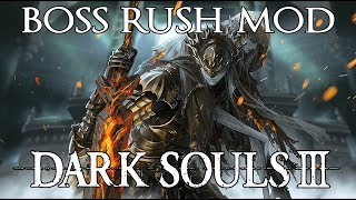 Dark Souls 3 Boss Rush Mod  Speedrun Tutorial in 3548 [upl. by Kirsten354]