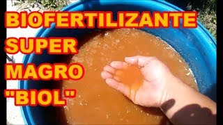 BIOFERTILIZANTE quotBIOLquot SUPERMAGRO  USO FOLIAR CÓMO LO PREPARO [upl. by Yesllek848]