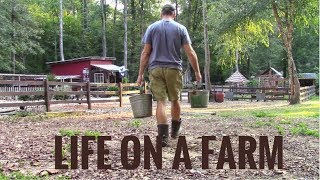 Life On A Farm  Morning amp Evening Chores  Our Daily Homestead Routine [upl. by Ordisi]