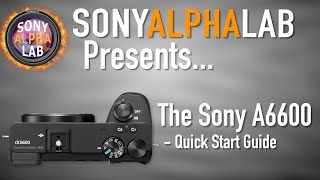 Sony A6600  Quick Start Guide for Beginners  Skip the Manual [upl. by Aliel710]