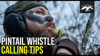 Pintail Whistle  Duck Calling Tips [upl. by Malcah]