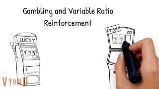 Operant Conditioning Schedule of Reinforcement Explained [upl. by Aneem]