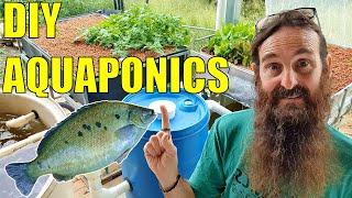 Starting an Aquaponics System  How to Start amp What You Need [upl. by Xenia317]