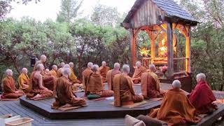 Pali Chanting In The Abhayagiri Buddhist Monastery  Theravada Buddhism [upl. by Anwahsiek326]