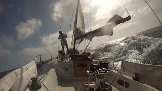 quotAlone Togetherquot Singlehanded Sailing LA to Hawaii and Return [upl. by Eirrej]