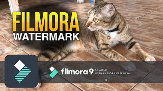 Wondershare Filmora Watermark [upl. by Colas]