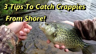 3 Crappie Fishing Tips Guaranteed To Catch Crappies From Shore [upl. by Iroc482]