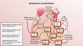 Intro to EKG Interpretation  Myocardial Infarctions Part 1 of 2 [upl. by Aceissej184]