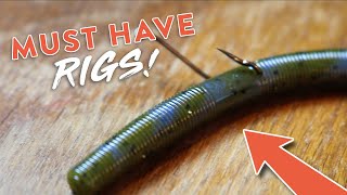 Bass Fishing 101 5 Bass Fishing Rigs You NEED to KNOW [upl. by Faline60]