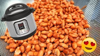 INSTANT POT PINTO BEANS [upl. by Eadwine]