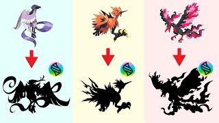 Pokemon Mega Evolution  MEGA Galarian Legendary Birds  Zapdos Moltres Articuno [upl. by Ray]