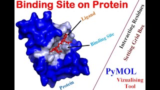 Identifying Binding Site on Protein  Tutorial [upl. by Heisel]