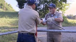 How to Tension a High Tensile Fence [upl. by Tengler]