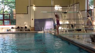 Teach a Flip for Springboard Diving [upl. by Skiest81]