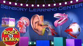 The Cells Organelles SONG  Memorize the Parts of the Cell [upl. by Jehiah179]