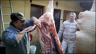 Domestic pig slaughter 280kg  Hausschweineschlach tung Domácí zabijačka [upl. by Maximilien]