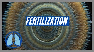 Understanding Fertilization [upl. by Davy]