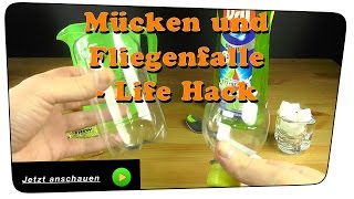 Beste Mücken und Fliegenfalle selber bauen  Life Hack  DIY [upl. by Lesly481]