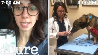 A Veterinarians Entire Routine from Waking Up to Treating Pets  Allure [upl. by Glenda137]