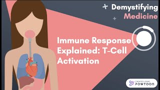 Immune Response Explained TCell Activation [upl. by Reifnnej]