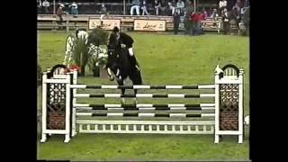 World Record Puissance Show Jumping Franke Sloothaak [upl. by Eedrahc]