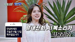 S사 ′AI 목소리′ 주인은 서유리Seo Yuri ☆신비한 성우의 세계☆ 악플의 밤replynight 10회 [upl. by Cuttler]