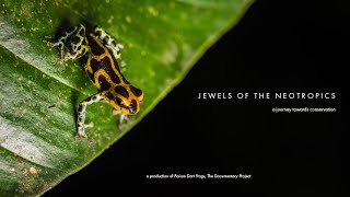 Jewels of the Neotropics [upl. by Curley]