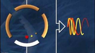 Fourier Transform Ion Cyclotron Resonance Mass Spectrometry [upl. by Otrebire]