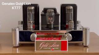 Electro Harmonix 6CA7 v Genalex Gold Lion KT77 vacuum tubes sound comparison on Reisong A10 [upl. by Lonnie450]