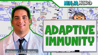 Immunology  Adaptive Immunity [upl. by Eniamert176]