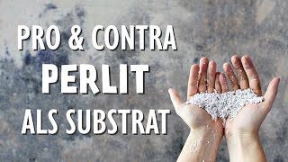 Sind Perlite wirklich immer das perfekte Substrat Pro und Contra aller Eigenschaften [upl. by Chrisse]