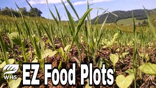 2 Easy No Till Food Plot Methods [upl. by Robma]