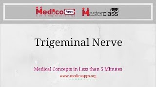 Trigeminal Nerve System [upl. by Emiolhs984]