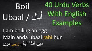 Basic Urdu Verbs with Examples  Urdu Grammar Lesson [upl. by Oilisab]