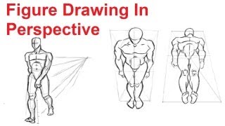 Figure Drawing Lesson 48  How To Draw The Human Figure In Perspective [upl. by Vorster]