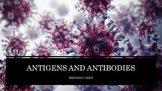 Antigens and Antibodies [upl. by Staw]