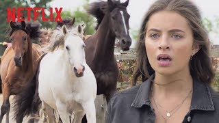 Wild Horse Stampede  Free Rein  Netflix After School [upl. by Trebliw]