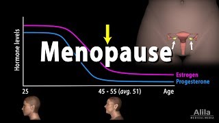 Menopause Perimenopause Symptoms and Management Animation [upl. by Bara]