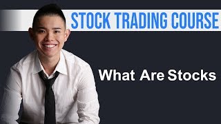 What Are Stocks And How Does It Work [upl. by Aekim]