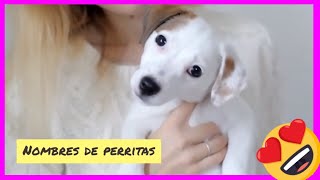 NOMBRES DE PERRITAS🐶Los más BONITOS y ADORABLES💖Listado de nombres para perras cachorras [upl. by Ogilvy]