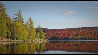 Algonquin Park Yours to Explore wwwalgonquinparkonca [upl. by Ymeraj]