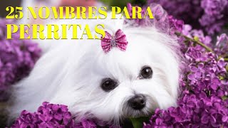 25 bonitos nombres para PERRITAS [upl. by Akila]