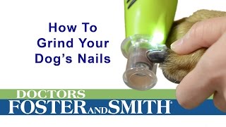 How to Grind Your Dogs Nails DrsFosterSmith [upl. by Orual]